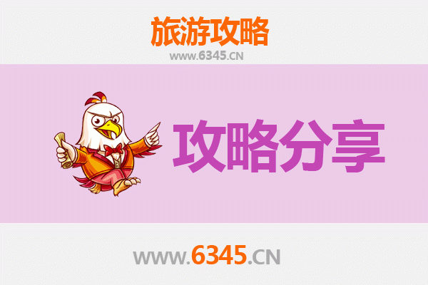 西宁旅游选择指南：跟团游与自由行深度对比